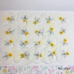 ♡new♡送料無料 ☆ビオラ☆ 押し花セット