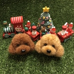 トイプードル顔タイプ2点セット