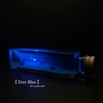 【Ever Blue】アルビノ1