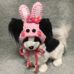 卯年❤️干支の帽子❤️うさぎさん❤️小型犬用帽子・猫用帽子