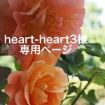heart-heart 3 様 専用ページ