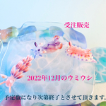 <ミニフィギュア>〜2022年12月〜受注販売
