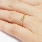 【送無料料！】 HH (Hands and Hills Brass Ring)