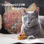 専用ボード　cookieee0123様　冬の妖精さん花冠