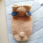 犬服！Msize！モコモコ！フワフワ！クマ