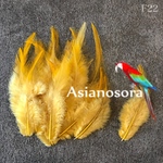 【F22からし】高品質　羽根 10枚 フェザー　ピアス　アクセサリー パーツ 羽　素材　鳥の羽根 鳥 