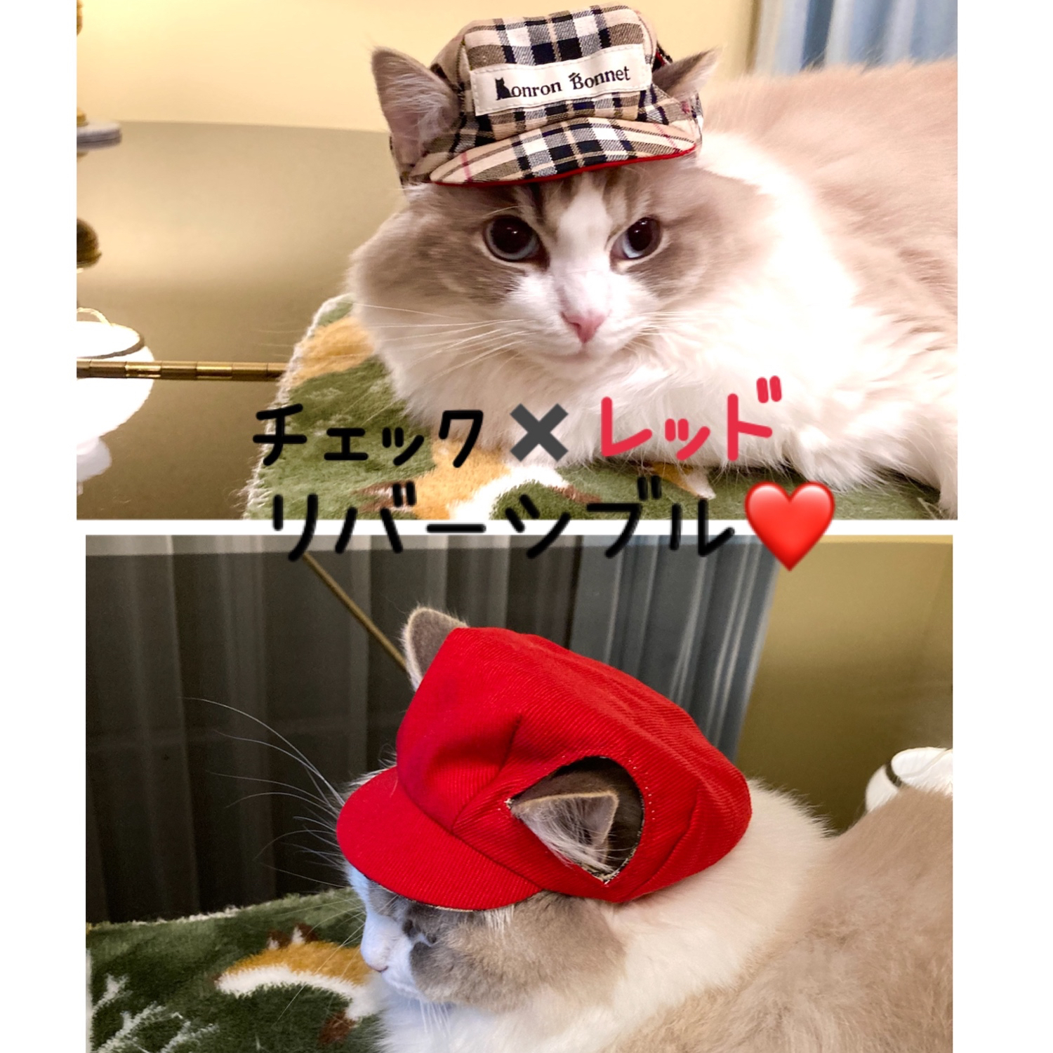 猫の帽子 ボンネット ブルー - RONRONB'S GALLERY | minne byGMOペパボ