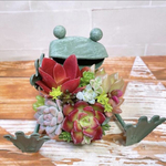 再入荷！！カエル寄せ植え