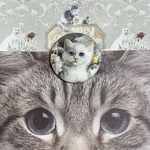 🐈‍⬛【クリップピン⑨】アッシュデザイン イジェヒョン ハンドメイド 韓国 猫 クリップ 安全ピン