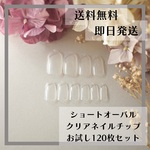 送料無料♡ショートオーバルお試し用クリアネイルチップ120枚セット