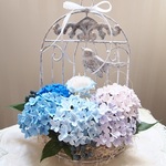 secret garden〜＊