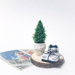 SALE【ミニチュア】モノトーン クリスマスツリーとギフトボックス セット