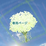 sakurada1160様専用ページ⭐️ オレンジとブラウンのしっとりシュシュ✿レース＆ニット