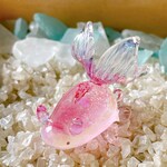 ［取置］Uo48　［金魚］宇宙を宿すガラスの目ありウミウシ