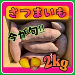 【※四国 九州 本州のお客様用】サツマイモさつまいも野菜【※シルクスイート】