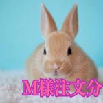 M様注文分(２０２３年干支の置物)