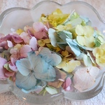紫陽花ドライフラワー