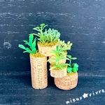 コルク&フェイクグリーン　🌳GREEN🌳