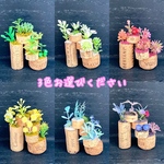 コルク&フェイクグリーン　3色セット💐