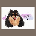イラスト原画(ポストカードサイズ) ポメラニアン