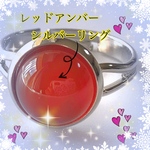 ✨1月28日迄 ✨　理江様専用