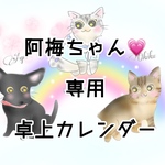 阿梅ちゃん 専用 卓上カレンダー