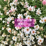 【受注制作】catmail様　専用
