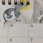 ご予約✰ペンギンの卓上カレンダー【2023】