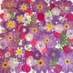 ♡new♡作家様必見♡押し花MIXセット♡押し花セット