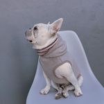 オーダー犬服 メルトンフリース ネック付き タンクトップ