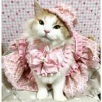 12月11日20時販売　送料込¥4200ドレス3点セット💓