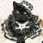 12月11日20時販売　送料込¥4200ドレス3点セット♣️