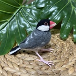 AY様　オーダー品　羊毛フェルト　桜文鳥
