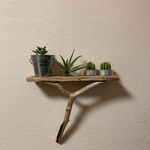 流木　飾り棚