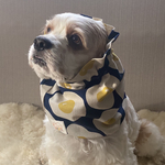 目玉焼き柄◉ネイビー　犬用スヌード　中型犬用スヌード