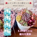 【専用ページです。】