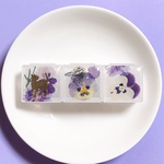 花壇 ﾎﾟｰﾁｻｲｽﾞのｺﾝﾊﾟｸﾄｹｰｽ/ｱｸｾｻﾘｰｹｰｽ/ﾋﾟﾙｹｰｽ　旅行など持ち運びに　猫×花