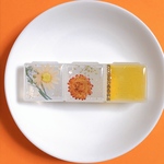 枯れない花［オレンジ/orange］ｱｸｾｻﾘｰｹｰｽ/ﾋﾟﾙｹｰｽ　旅行や持ち運びに