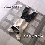 イタグレの服　イタグレ服