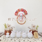 ちびころ♪うさぎ🐰