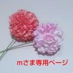 mさま専用ページです。