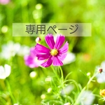 専用ページ