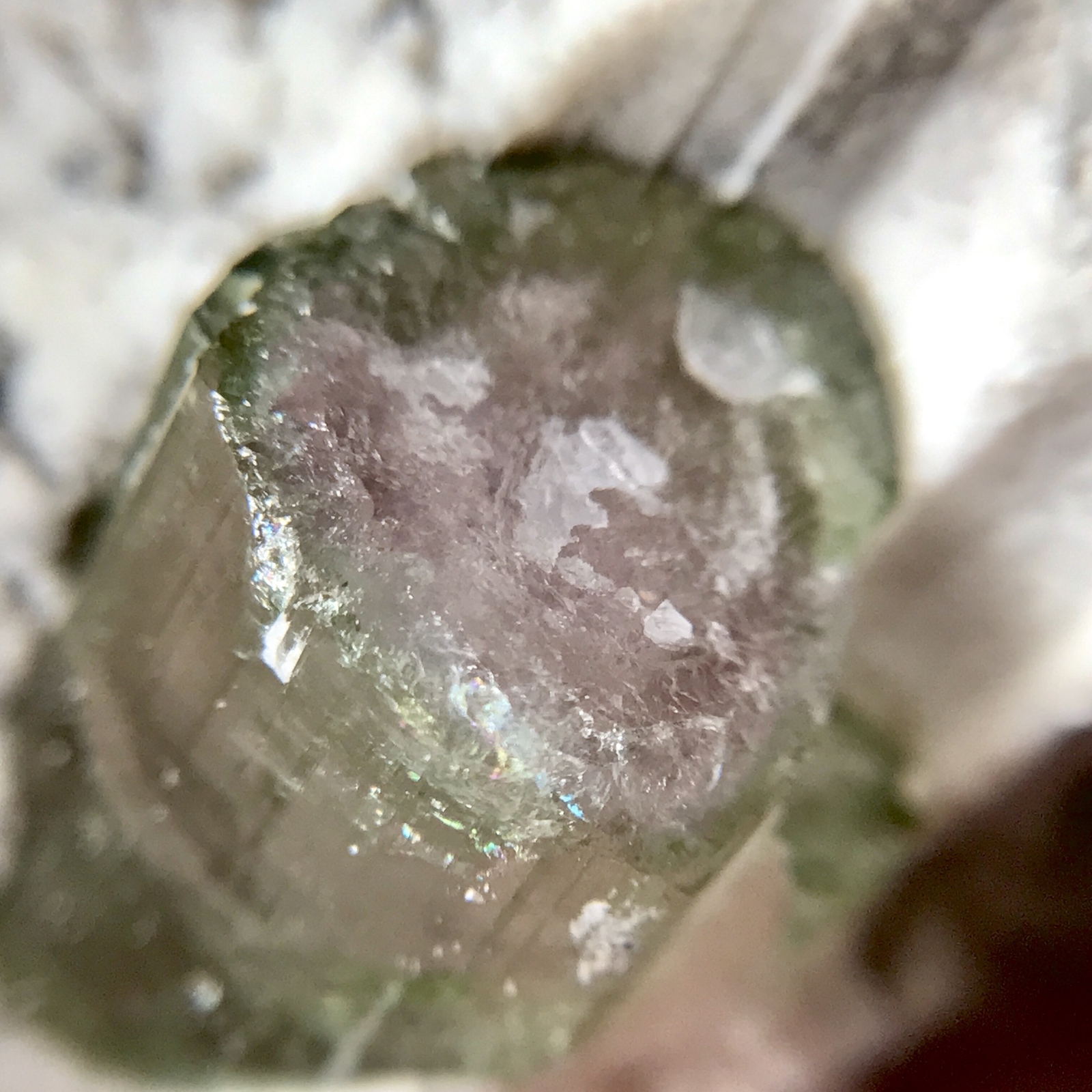 ウォーターメロントルマリン カップ 原石 315.45ct バイカラー 鉱物