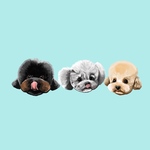 （顔のみ）そっくりデフォルメな犬の似顔絵