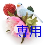 hitomi1964yu様専用同梱品
