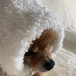 犬手編み🧶フワフワニット帽