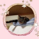 himawari 753様　専用ページ✨  