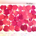 ♡new♡作家様必見♡小さめな花びらがいっぱい♡ 押し花セット