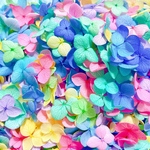 紫陽花　カラフル加工　花びら50枚☆