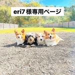 eri7様専用ページ